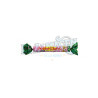 Caramelo Palito de la Selva x10 unidades
