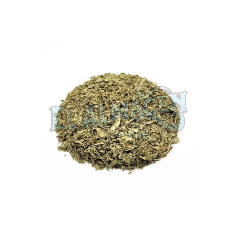 Burrito Aloysia