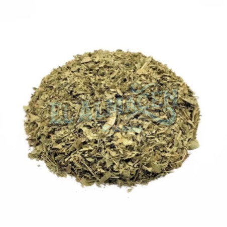 Burrito Aloysia