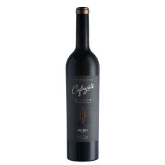Vino Cafayate Malbec 2020